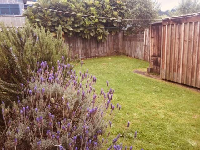 Mollies Place - Waihi Beach Holiday Unit Esterno foto